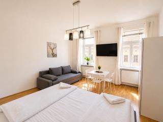 Central Vienna for Longstays, Comfy 1BR Apt with WIFI & TV - 8