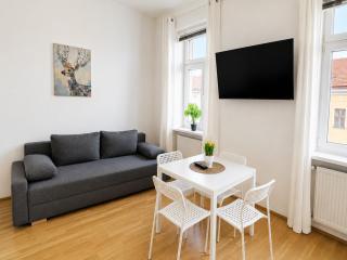 Central Vienna for Longstays, Comfy 1BR Apt with WIFI & TV - 3