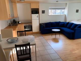 Cosy studio apartment in Reykjavík - 7