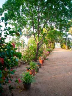 Lilac Inn - 1
