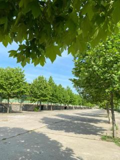 BC Aprilia - Survivor Camp - Cazare Festival - 1