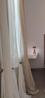 Bouganvillea - 2