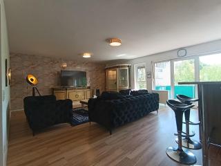 Royal Chesterfield Suite 28 - Offenbach-sur-le-Main - 1