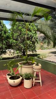Finca SAN JAVIER - 4