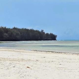 Uroa Beachfront 2BR - Ocean View, Zanzibar - 3
