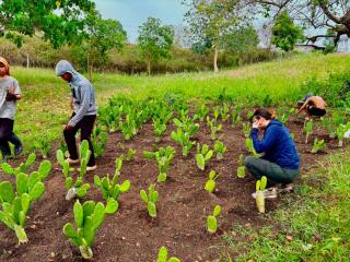 B&Y BnB Farm-stay - 9