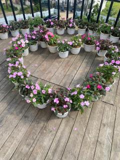 Violet Sapa Homestay - 9