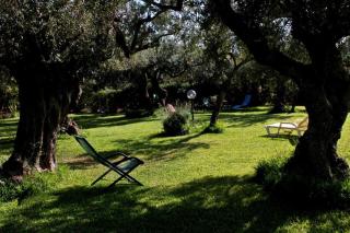 Il giardino degli ulivi - 8