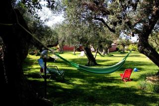 Il giardino degli ulivi - 6