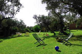 Il giardino degli ulivi - 3