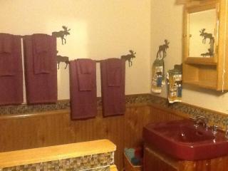 Log Cabin Adirondack Lodge on State Trail System - 5