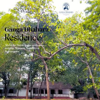 Ganga Dhahara Residence Kataragama - 8