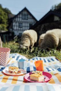 Urlaub in alter Mühle - Natur & Wellness - 1