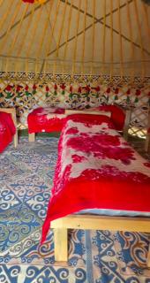 Saddle&Stay -Country house&Horse Riding - 8