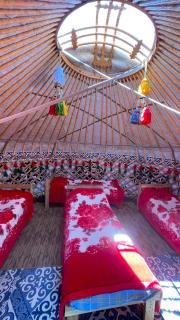 Saddle&Stay -Country house&Horse Riding - 6