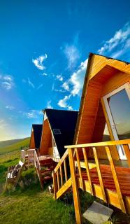 Saddle&Stay -Country house&Horse Riding - 3