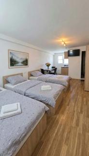 Apartmani Joniv Holding - 1