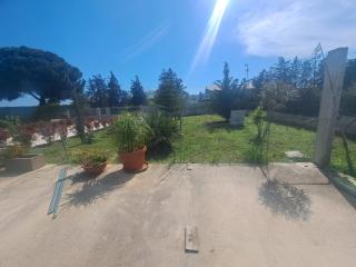 Sweet Garden - 0