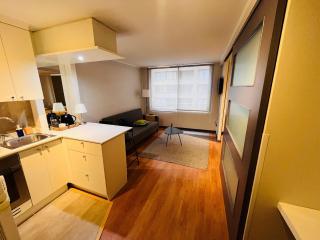 Lindo y remodelado Departamento en Santiago centro - 3