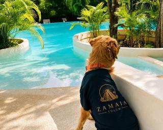 Seremonia Studios by Zamaia Tulum - Tulum - 2