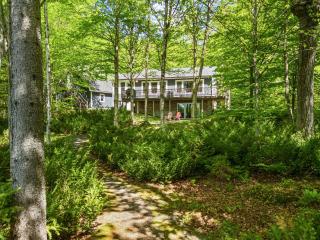 Waterfront cabin w/ outdoor firepit, dock, and lake views - dogs welcome - 8