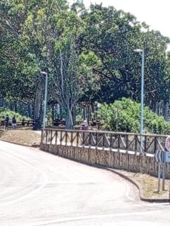 Finca FONTANINA - 5