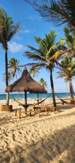 Seu ape no Paraíso - VG SUN - 0