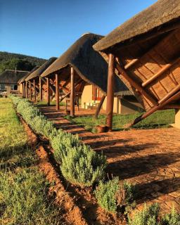 Tuskers Lodge - 8