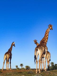 Tuskers Lodge - 3
