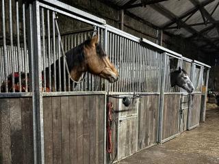 Brimble Cottage at Dockwell Farm - 8