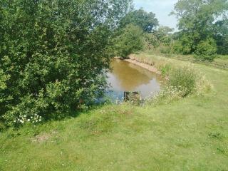 Lodge 11 Upton Lakes & Lodges Old Hill Cullompton Devon EX151RA - 7