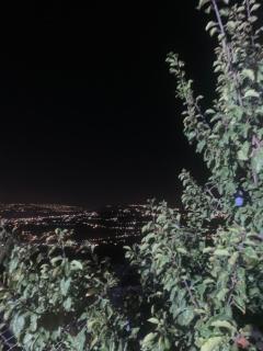 شاليه بانا جرش jerash - 7