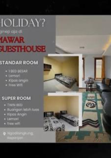 Guesthouse Mawar Syariah - 1