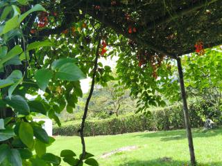 Finca Alejandria - Piedemonte Llanero - Restrepo - 9