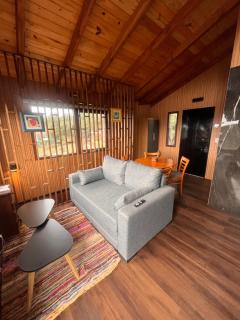Cabaña Otilia - 5