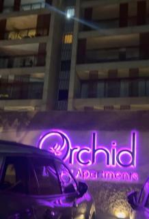 Les orchidées - 1