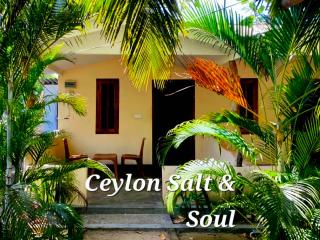 Ceylon Salt & Soul - 1