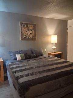 North - King Bed Hotel Studio 319 - 2