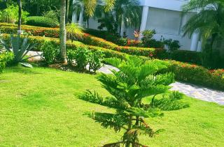 Paradise apartment in Las TerrenasPunta Popy - 8