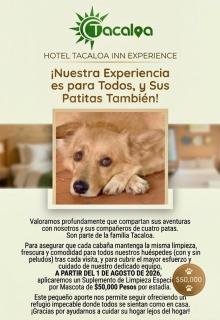 Hotel TACALOA INN EXPERIENCE - 2