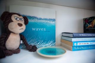 Wildflowers & Waves at Yarrimbah - Capel - 8