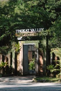 Tingkat Valley - 0