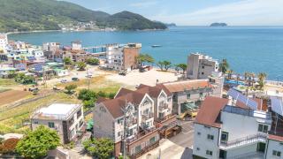Geoje Blueberry Pet Pension - 8