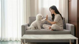 Geoje Blueberry Pet Pension - 6
