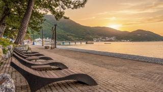 Geoje Blueberry Pet Pension - 3