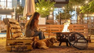 Hoengseong Withpet Village - 8