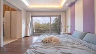Hoengseong Withpet Village - 7