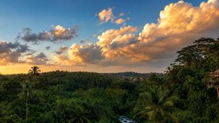 River Song Ubud, Bali - 9
