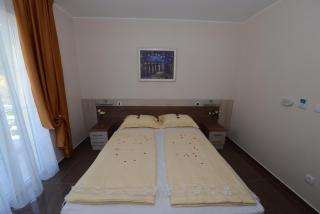Vila Milo - Veliko Gradište - 1