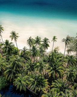 Amor Resort Koh Rong - 1